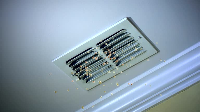 Best Professional Duct Cleaning Services  in Campbellsburg, KY