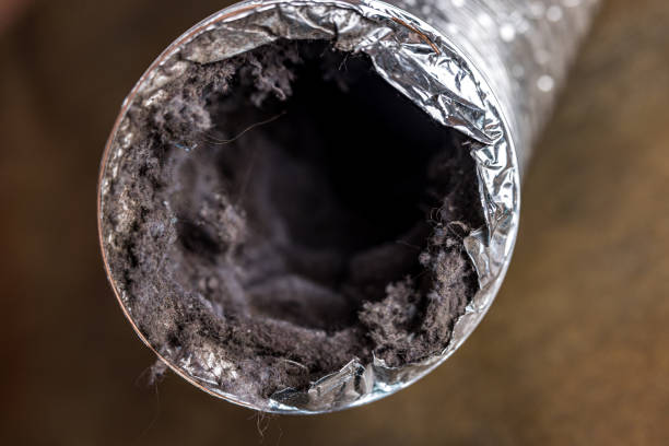 Best Local Air Duct Cleaning Services  in Campbellsburg, KY