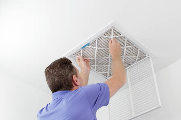 Best Local Air Duct Cleaning Services  in Campbellsburg, KY